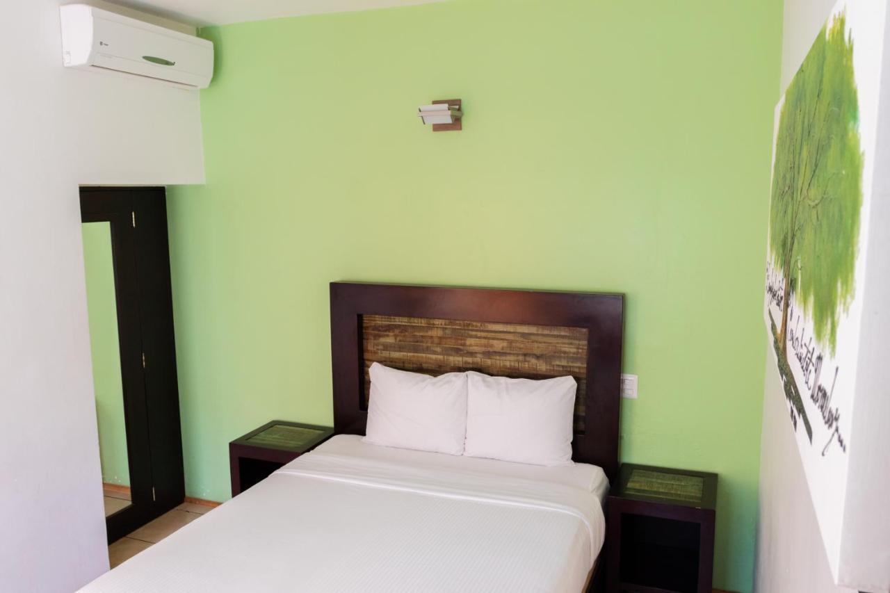 Happy Express Hotel Oaxaca Zewnętrze zdjęcie